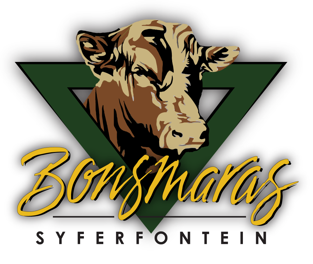Syferfontein Bonsmaras Logo