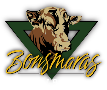 Syferfontein Bonsmaras Logo