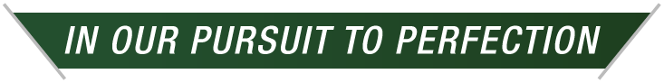 Syferfontein Bonsmaras Tagline