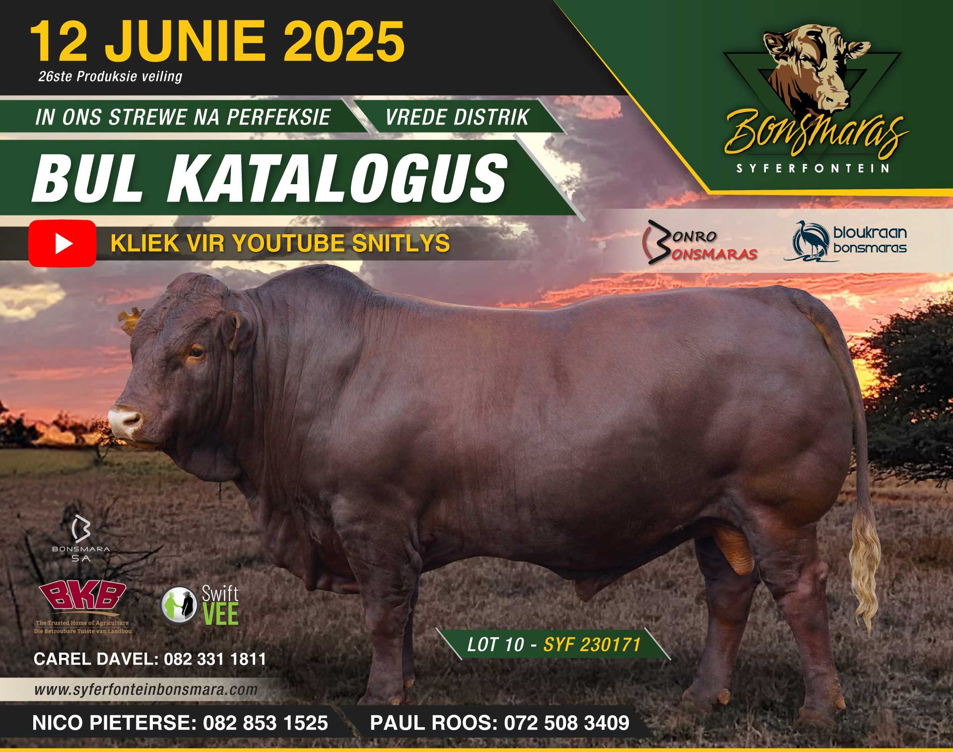 Bul Katalogus